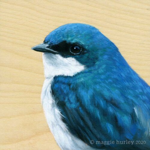 tree swallow bird art painting