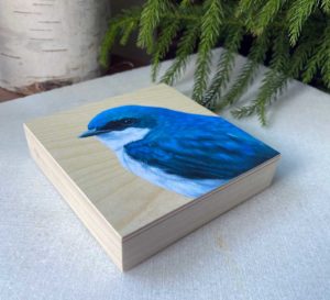 side view of tree swallow bird art