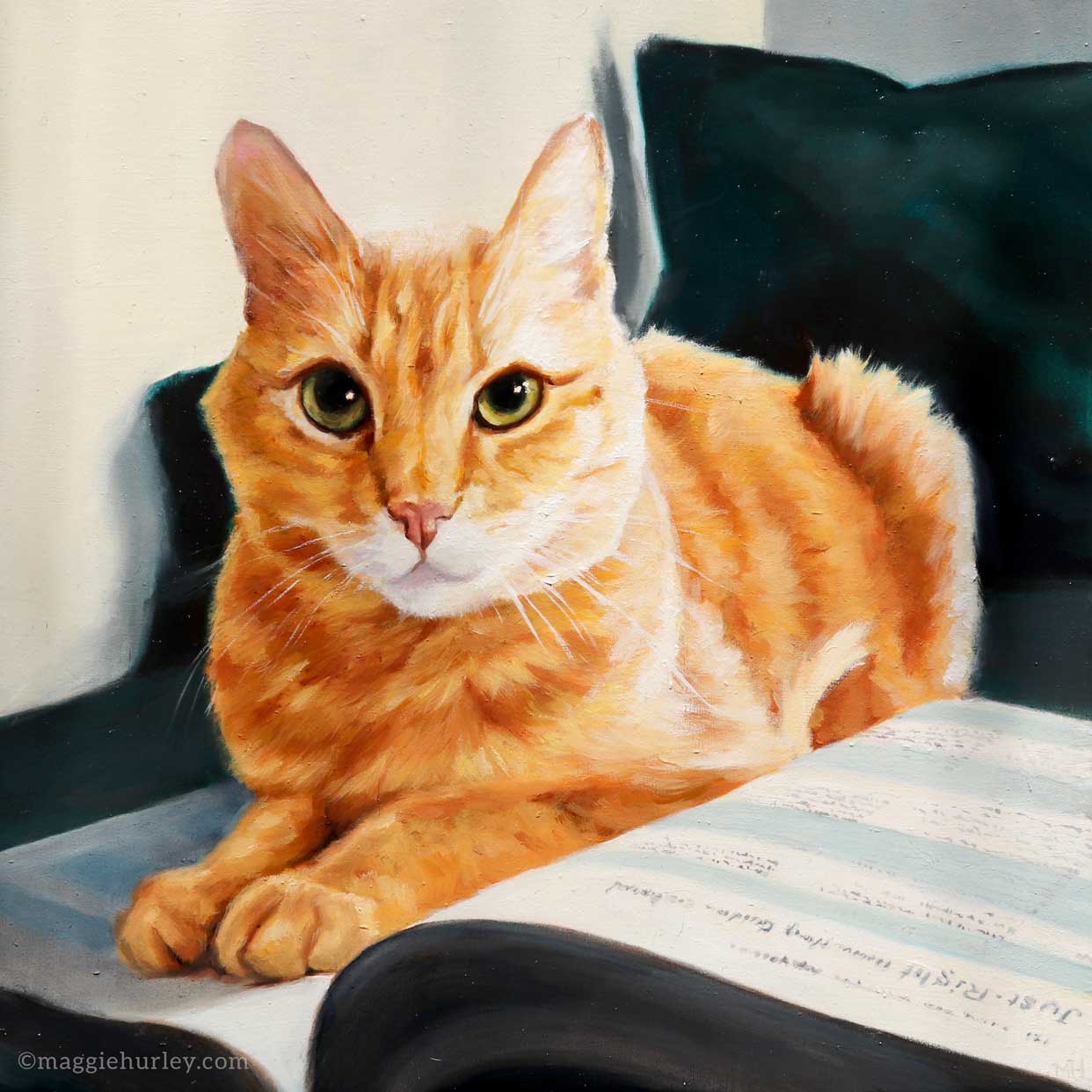 Orange tabby cat pet portrait