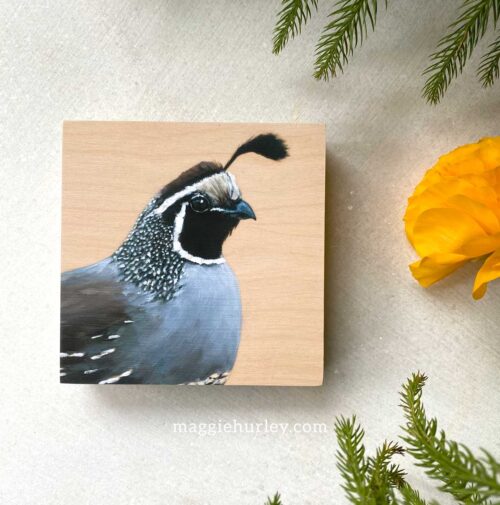 California quail art print