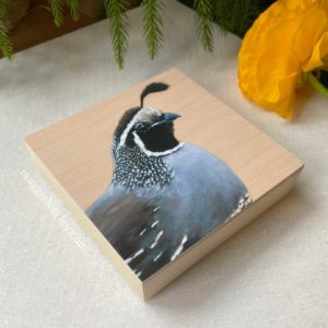 California quail art print profile