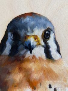 closeup American kestrel oil painting by maggie hurley