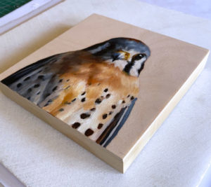 side view American kestrel oil painting by maggie hurley