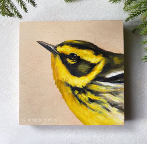 Townsend's warbler bird painting