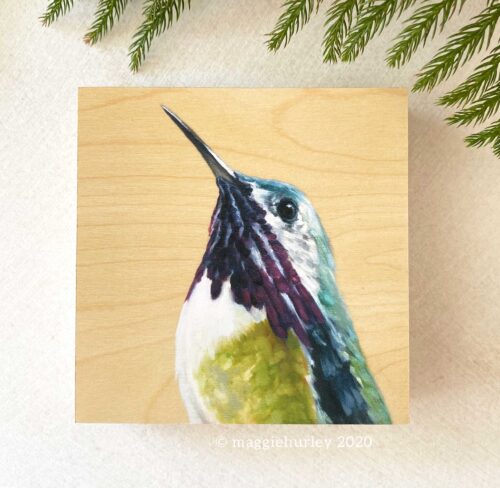Calliope Hummingbird bird painting by Maggie Hurley. Front view