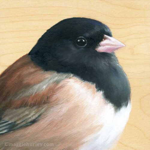 painting of a dark eyed junco on wood by Maggie Hurley
