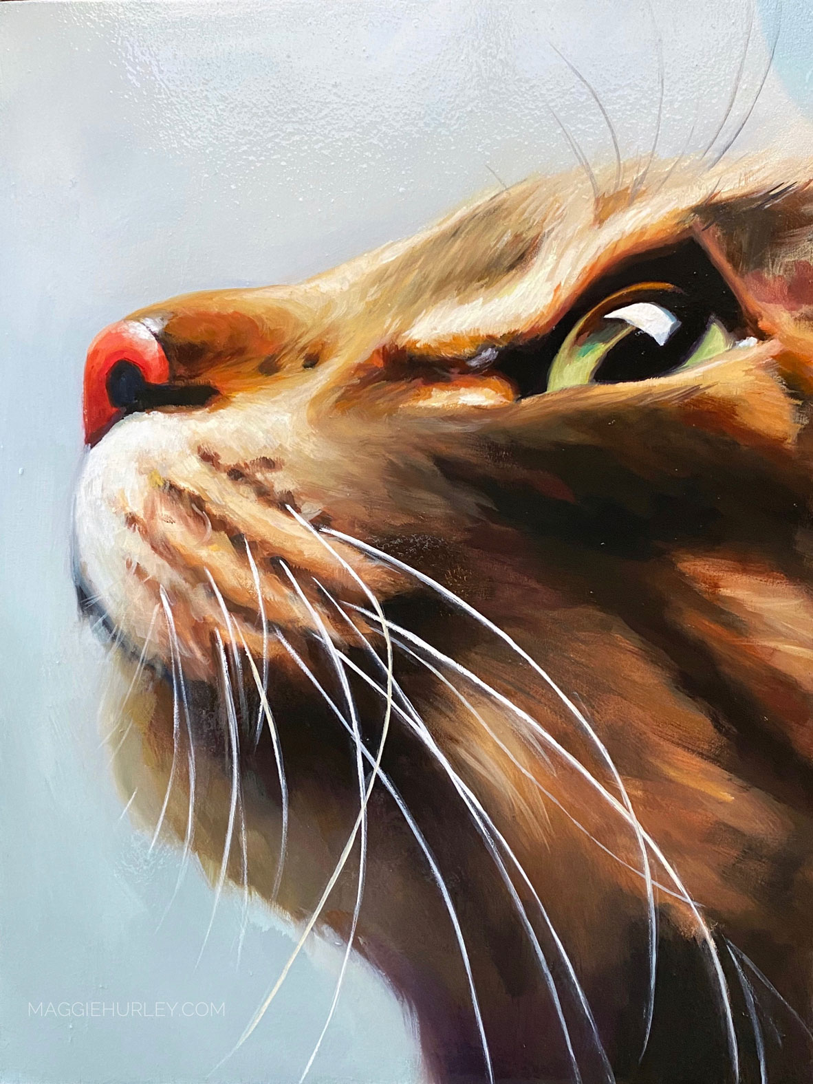 cat pet portrait by maggie hurley