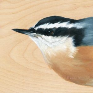 Painting of a red-breasted nuthatch on a wood panel