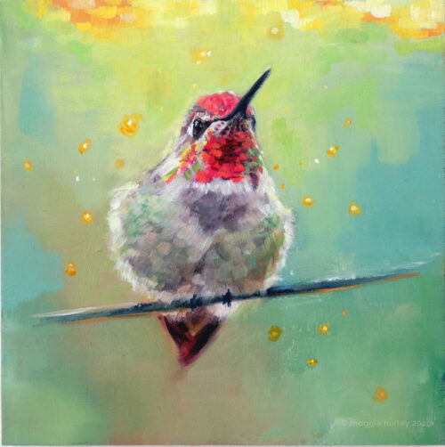 Anna's Hummingbird | 6" x 6" | Oil Painting