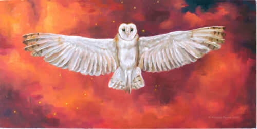 Barn Owl | 12" x 24" | Oil Painting