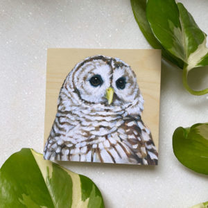 Barred Owl bird art by maggie hurley