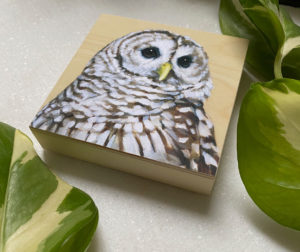 Barred Owl bird art by maggie hurley