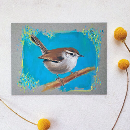 Original Bird Sketch - Bewick's Wren