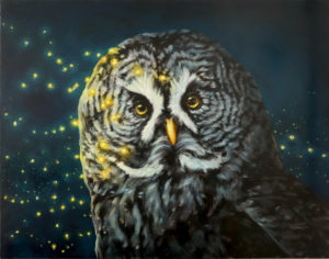 Great gray owl by maggie hurley