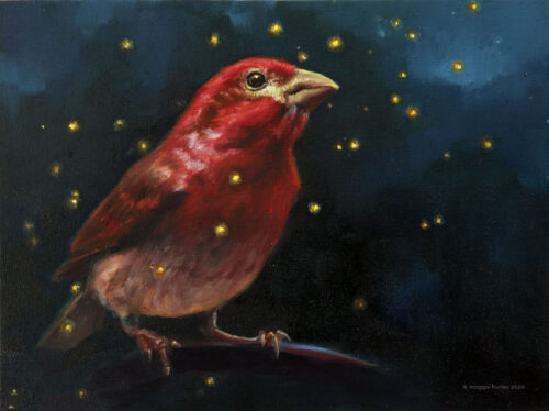 Purple Finch | 6" x 8" | Oil Painting