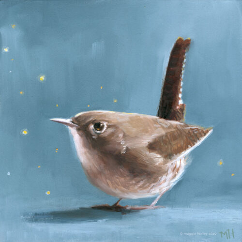 Wren | 6" x 6" | Oil Painting