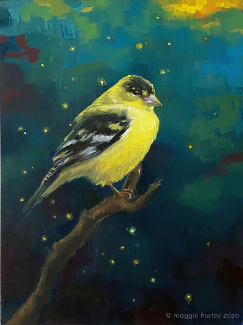 Lesser Goldfinch | 6" x 8" | Oil Painting