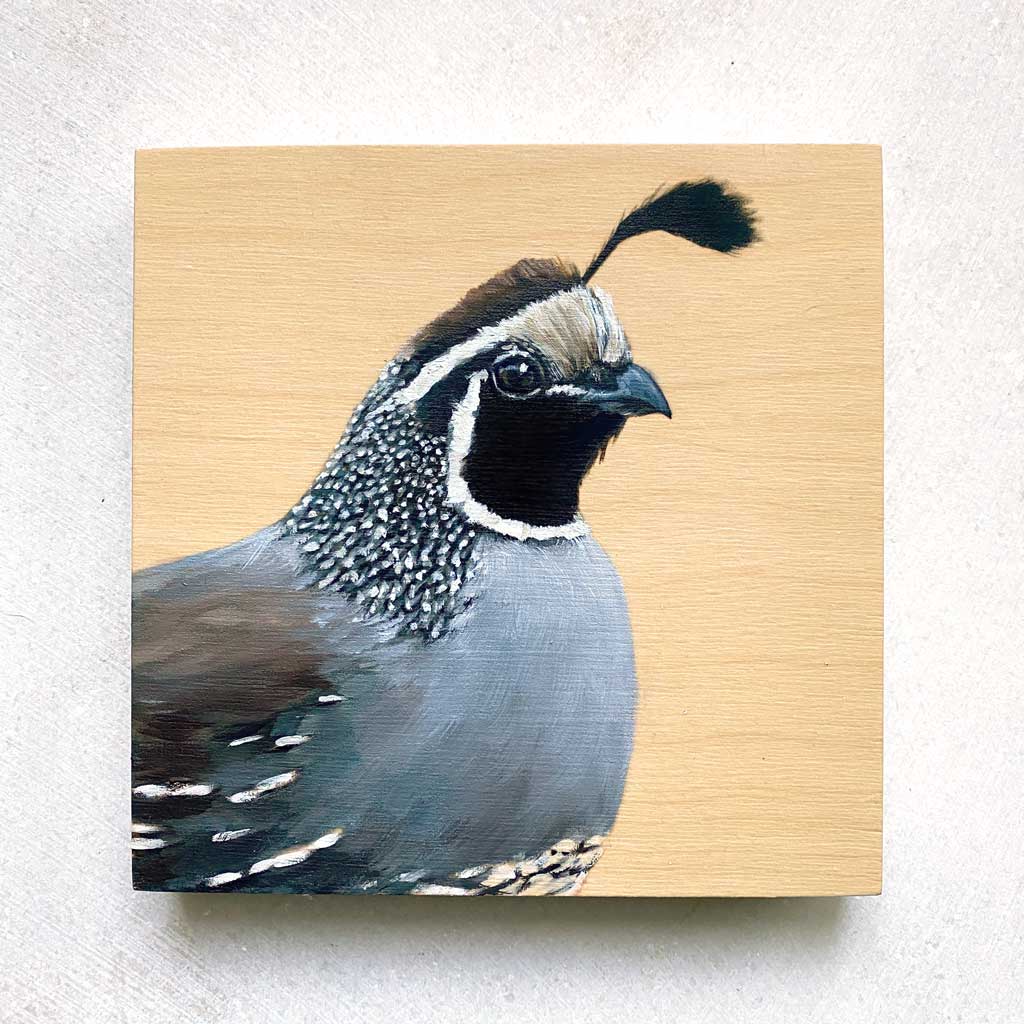 Original Bird Painting - California Quail - Maggie Hurley