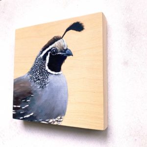 California quail art