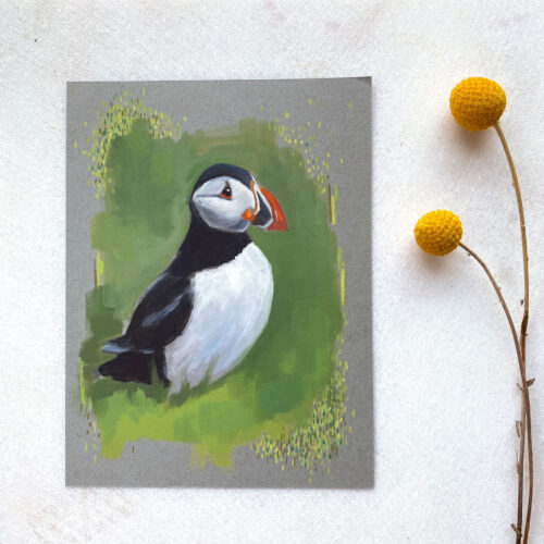 Atlantic puffin bird painting