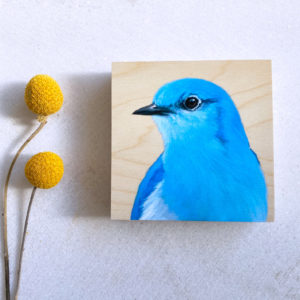 Mountain bluebird art by maggie hurley