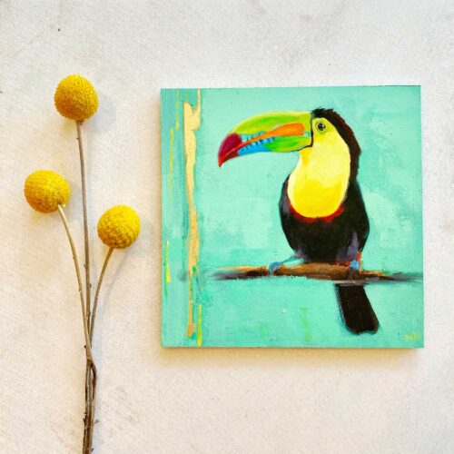 keel billed toucan