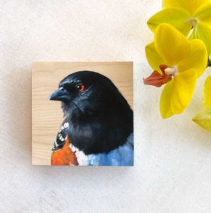 Spotted Towhee bird painting by Maggie Hurley