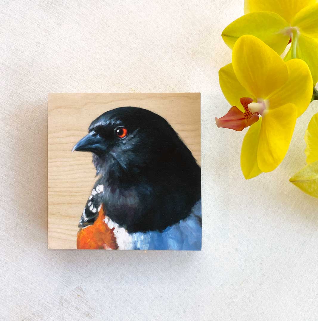 Spotted Towhee bird painting by Maggie Hurley