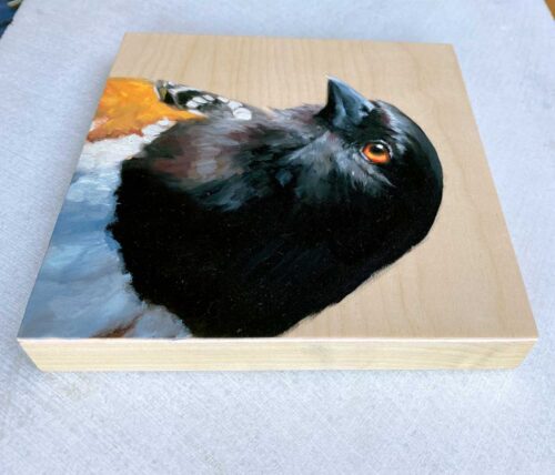 side view of spotted towhee bird art