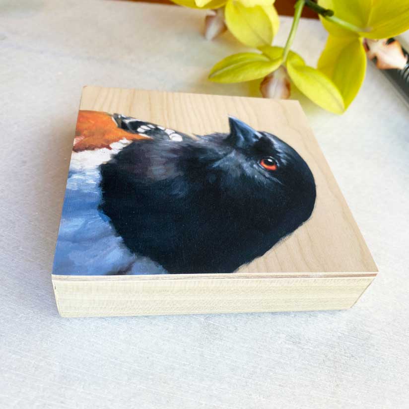 Spotted Towhee bird painting by Maggie Hurley side view