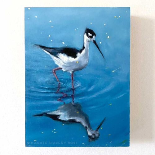 black-necked stilt bird art