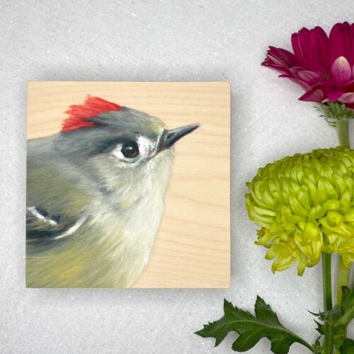 Ruby crowned kinglet bird art by maggie hurley