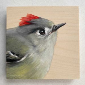 ruby crowned kinglet oil painting on wood. bird art by maggie hurley