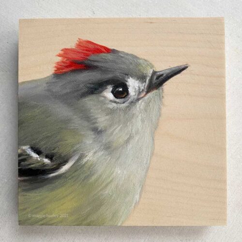 ruby crowned kinglet oil painting on wood. bird art by maggie hurley
