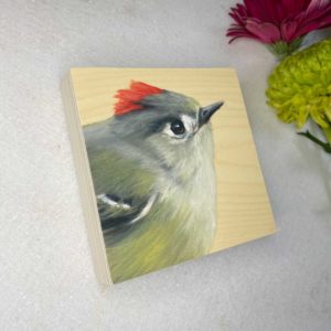 Ruby crowned kinglet bird art by maggie hurley