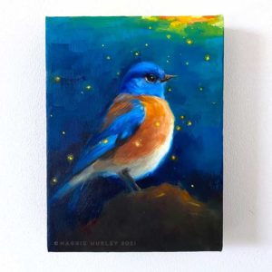 western bluebird bird art