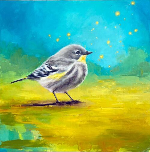 Yellow-rumped Warbler | 12" x 12" | Oil Painting