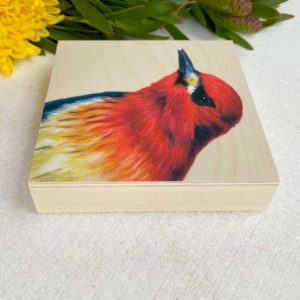 red-breasted sapsucker bird painting by maggie hurley