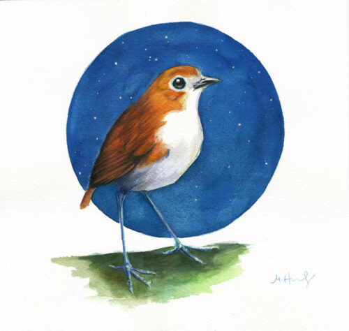 White-bellied Antpitta | 7" x 7.5" | Gouache Painting