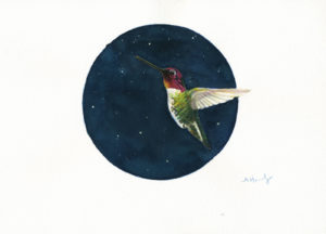 anna's hummingbird painting