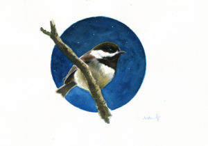 chestnut backed chickadee bird painting