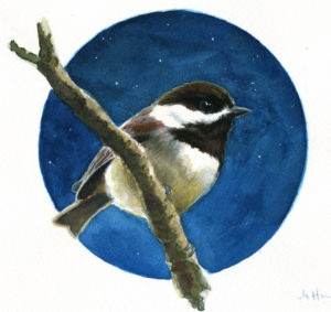 chestnut backed chickadee bird painting