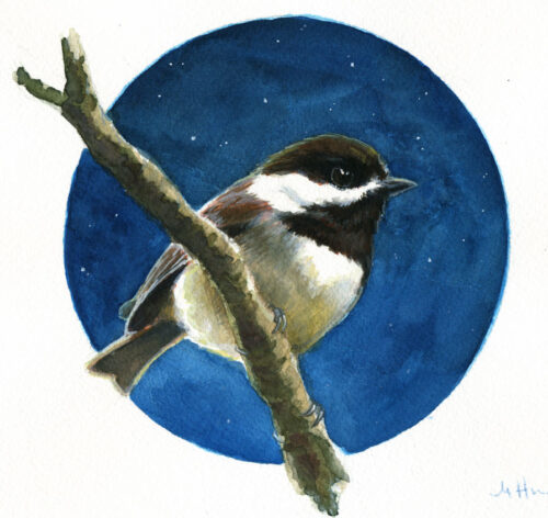 chestnut backed chickadee bird painting