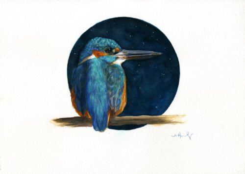 common kingfisher bird art