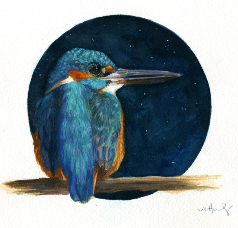 common kingfisher bird art