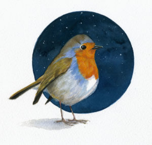 european robin bird art