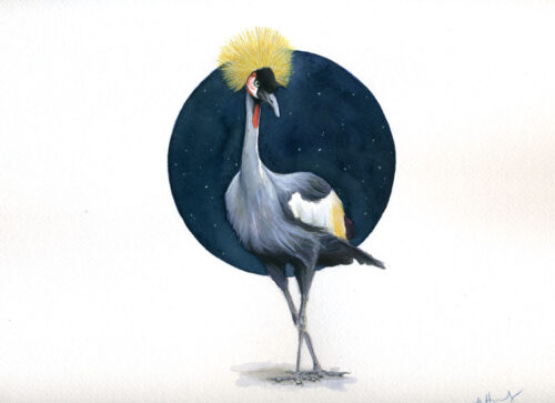grey crowned crane watercolor bird painting