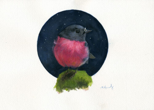 pink robin bird art painting