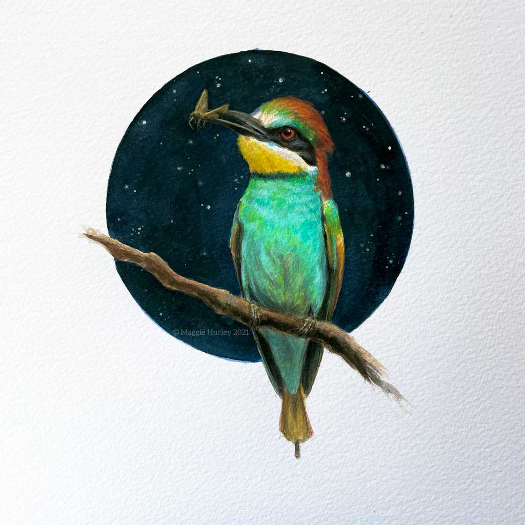 Bee-Eater | 9" x 12" | Gouache Painting
