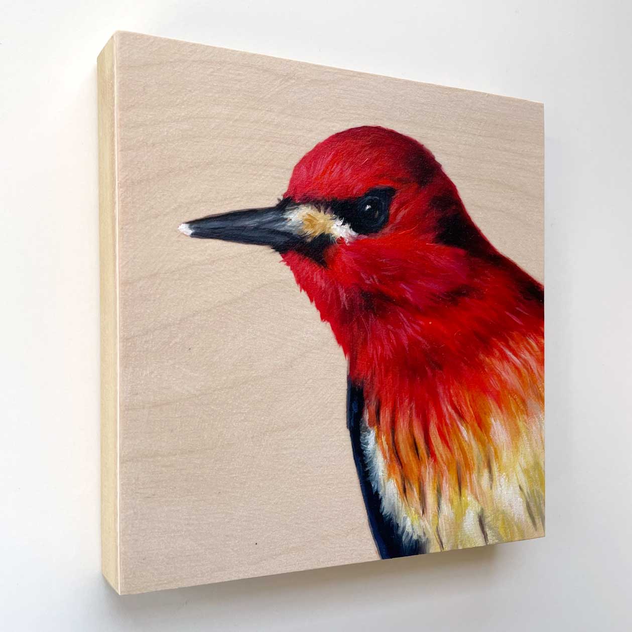 red breasted sapsucker bird art painting